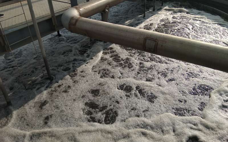 浙江某印染厂废水