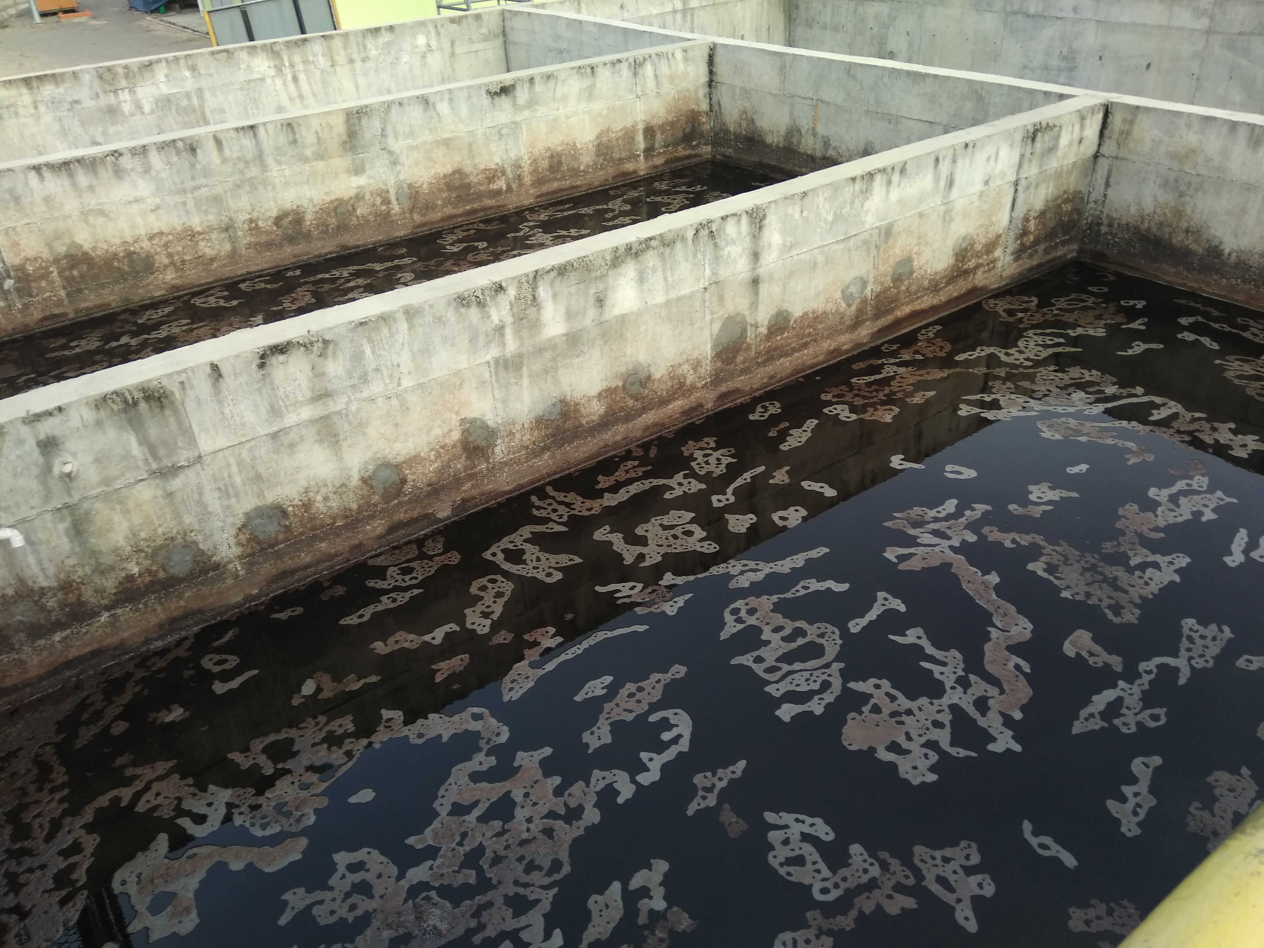 山西某棕榈油废水处理